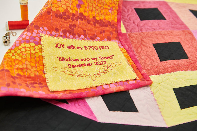 Bernina 790 PRO & Embroidery Module