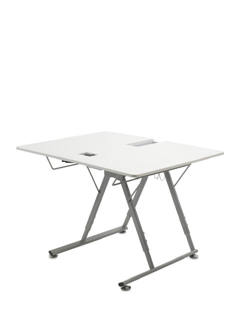 Bernina Q 20 + Folding Table